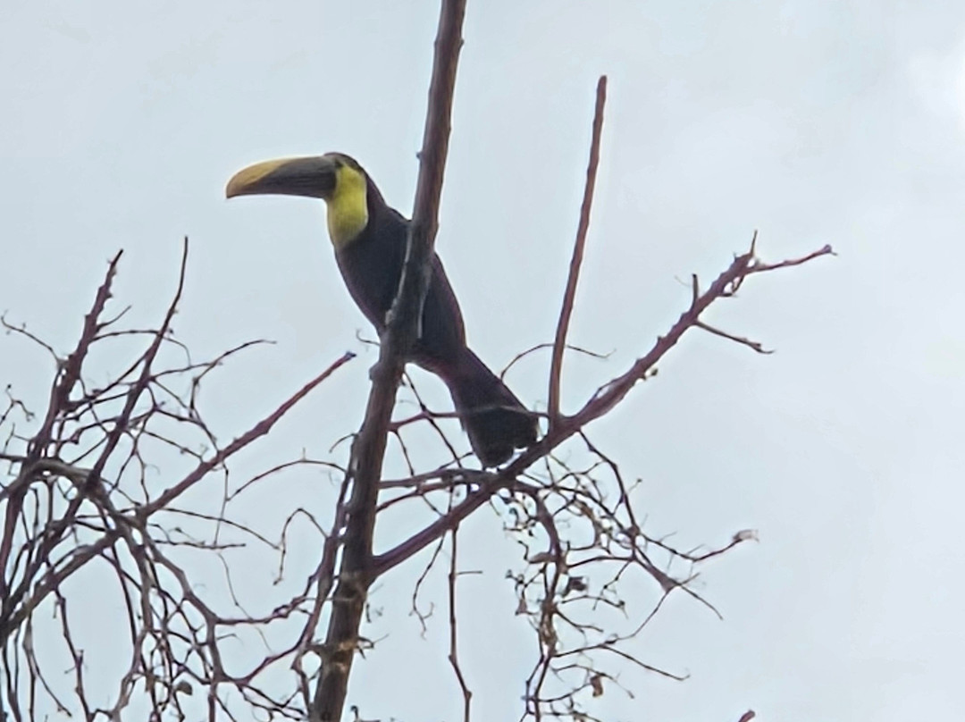 Amstar DMC-利比里亚必去景点