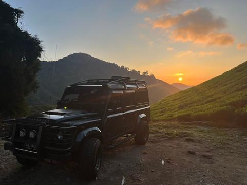 Discover Camerons-丹那拉塔必去景点