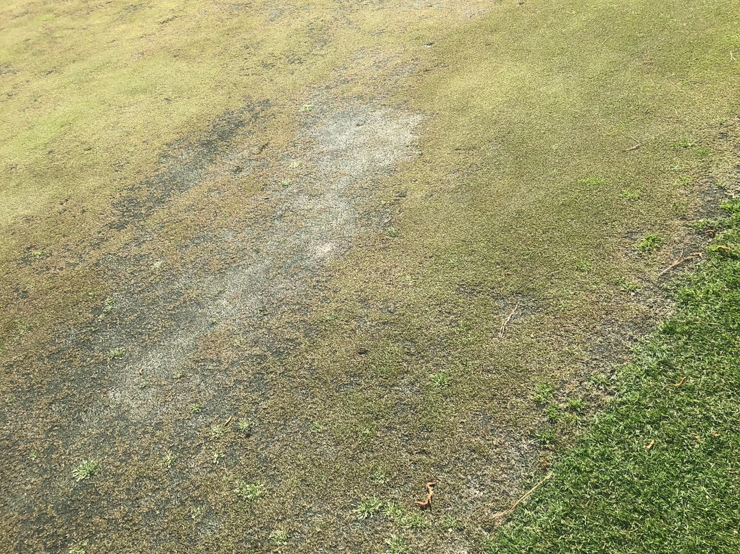 Cypresswood Golf Club-斯普林必去景点