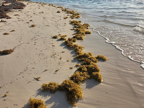 Flying Ginny Catamaran Charter-埃尔波韦尼尔必去景点