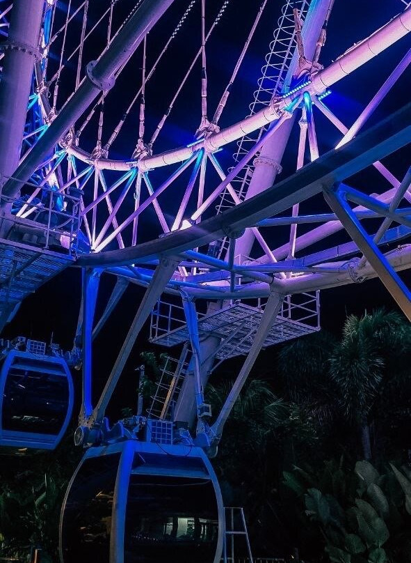 The Wheel Bali