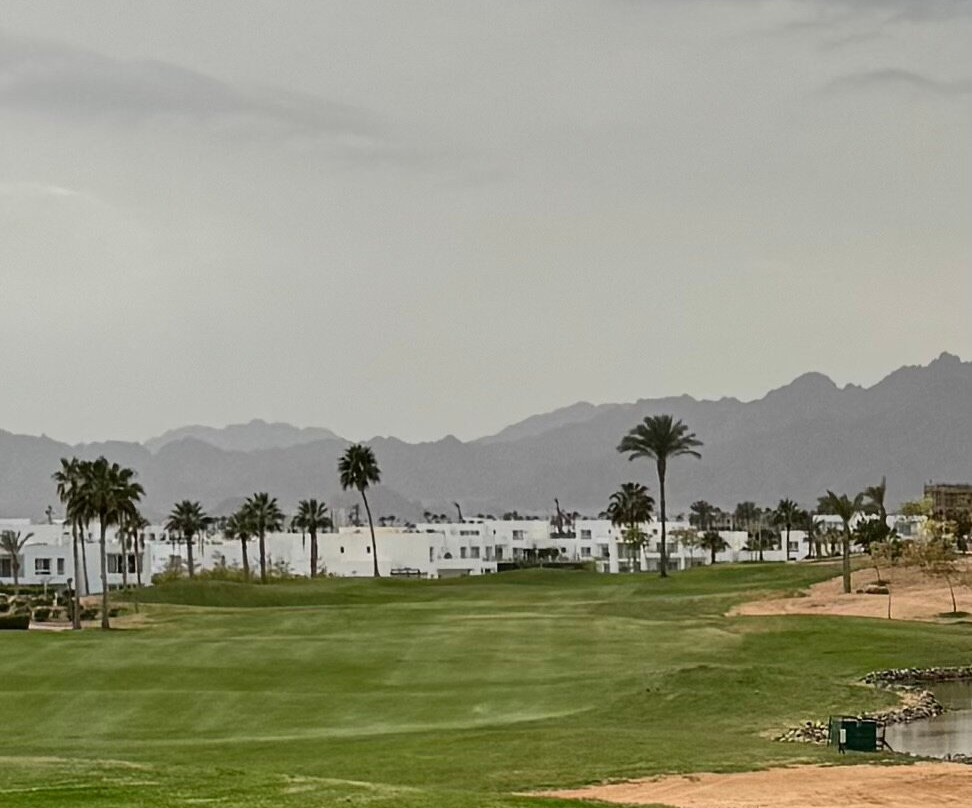 Pickalbatros Golf Course-沙姆沙伊赫必去景点