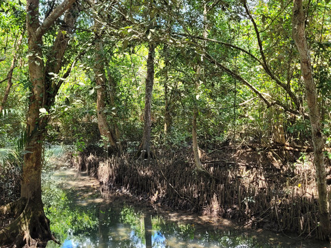 Thapom Klong Song Nam-甲米府必去景点