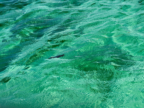 Privilèg'G-Le Francois必去景点