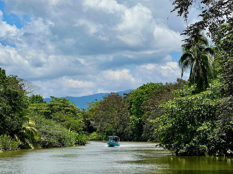 La Perla del Sur Adventures-Sierpe必去景点