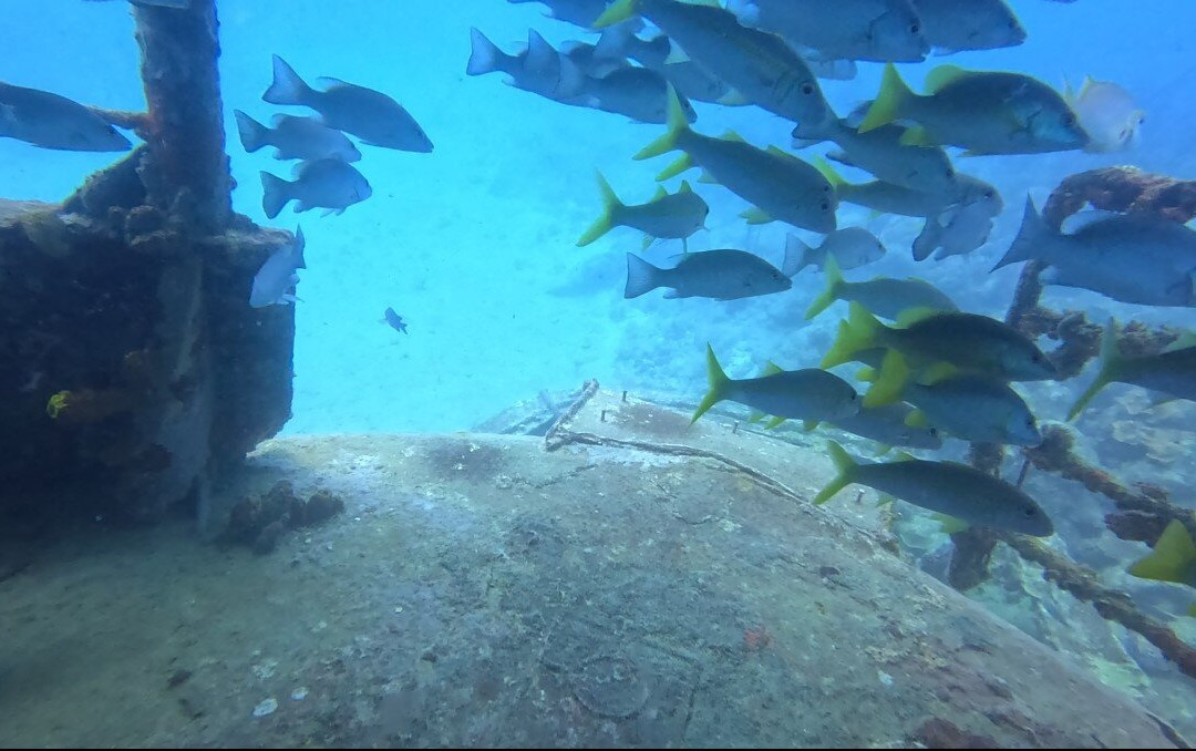 Scubafun-Bayahibe必去景点