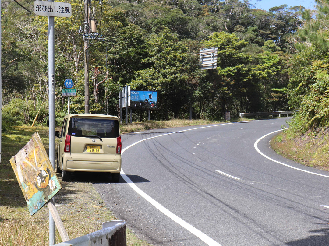 Amamigunto National Park-奄美市必去景点