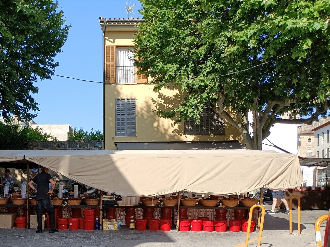 Pollensa Market-Pollenca必去景点