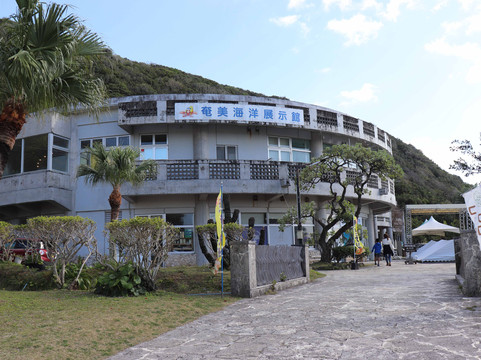 Amami Marine Exhibition Hall-奄美市必去景点