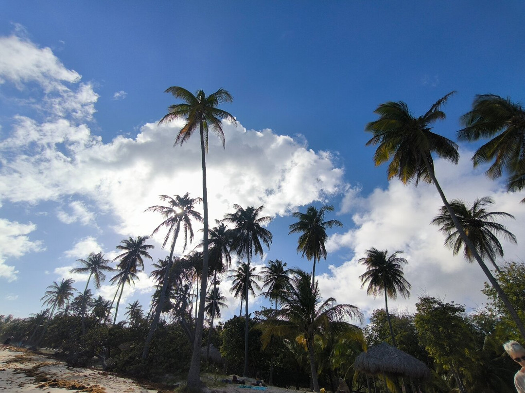 Feuillere Beach-Capesterre必去景点