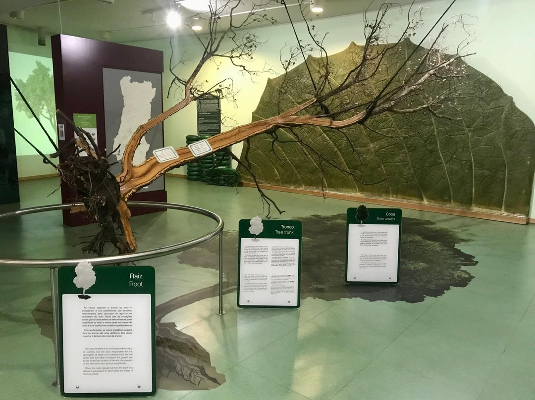 Centro Ciencia Viva Da Floresta-Proenca-a-Nova必去景点