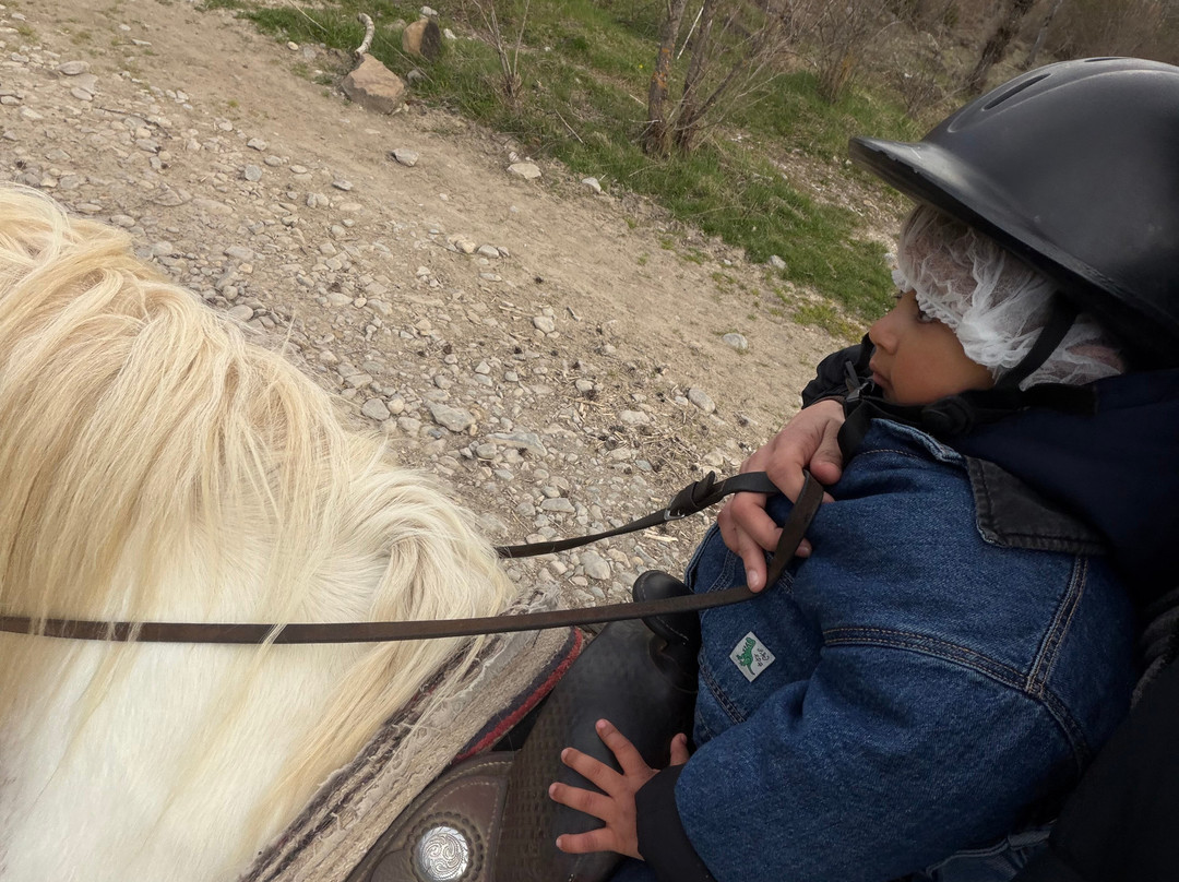 Caballos casa blas-Sarvise必去景点