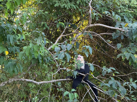 Panama Road Trips-巴拿马城必去景点