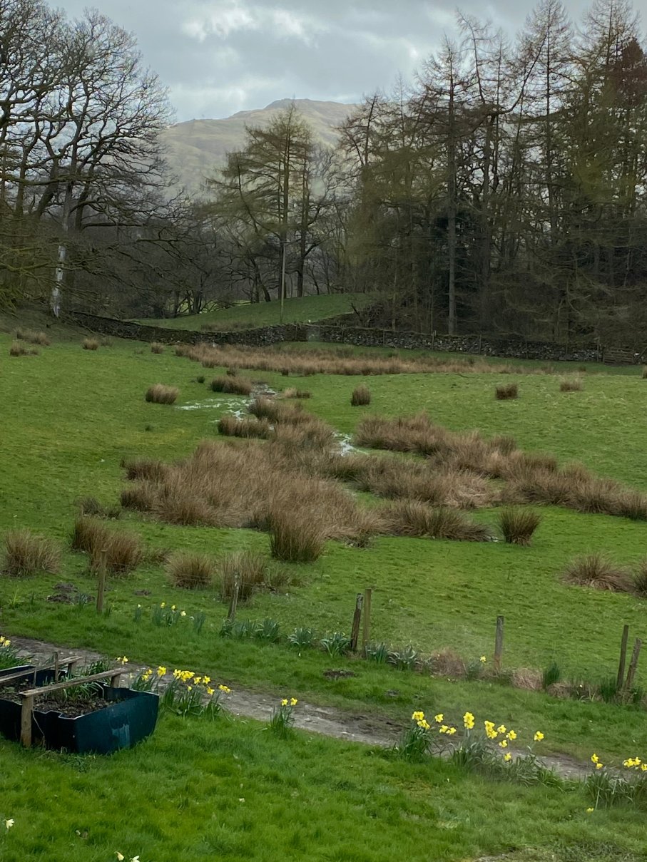 克鲁卡贝科住宿加早餐旅馆-官方