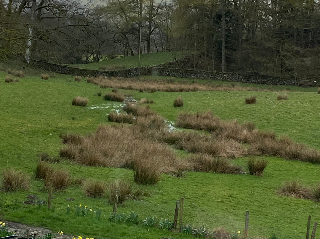 克鲁卡贝科住宿加早餐旅馆主图