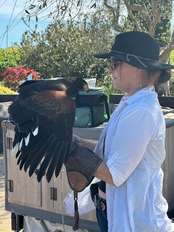 Bouchaine Vineyards - Napa Valley-纳帕必去景点