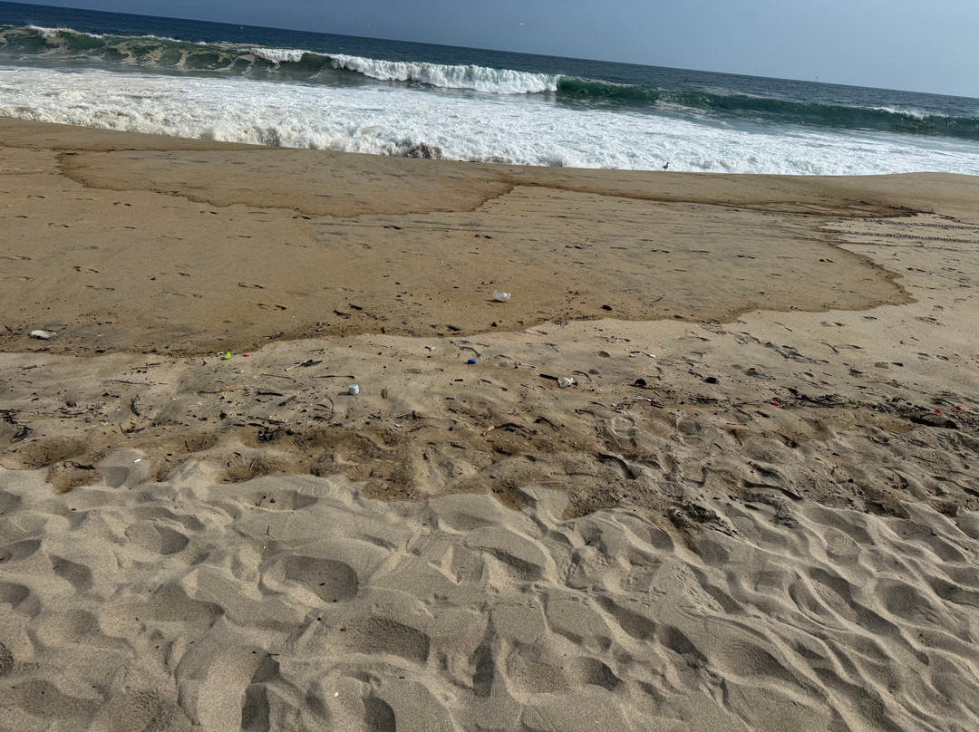 陆地酒店，Design Hotels品牌主图