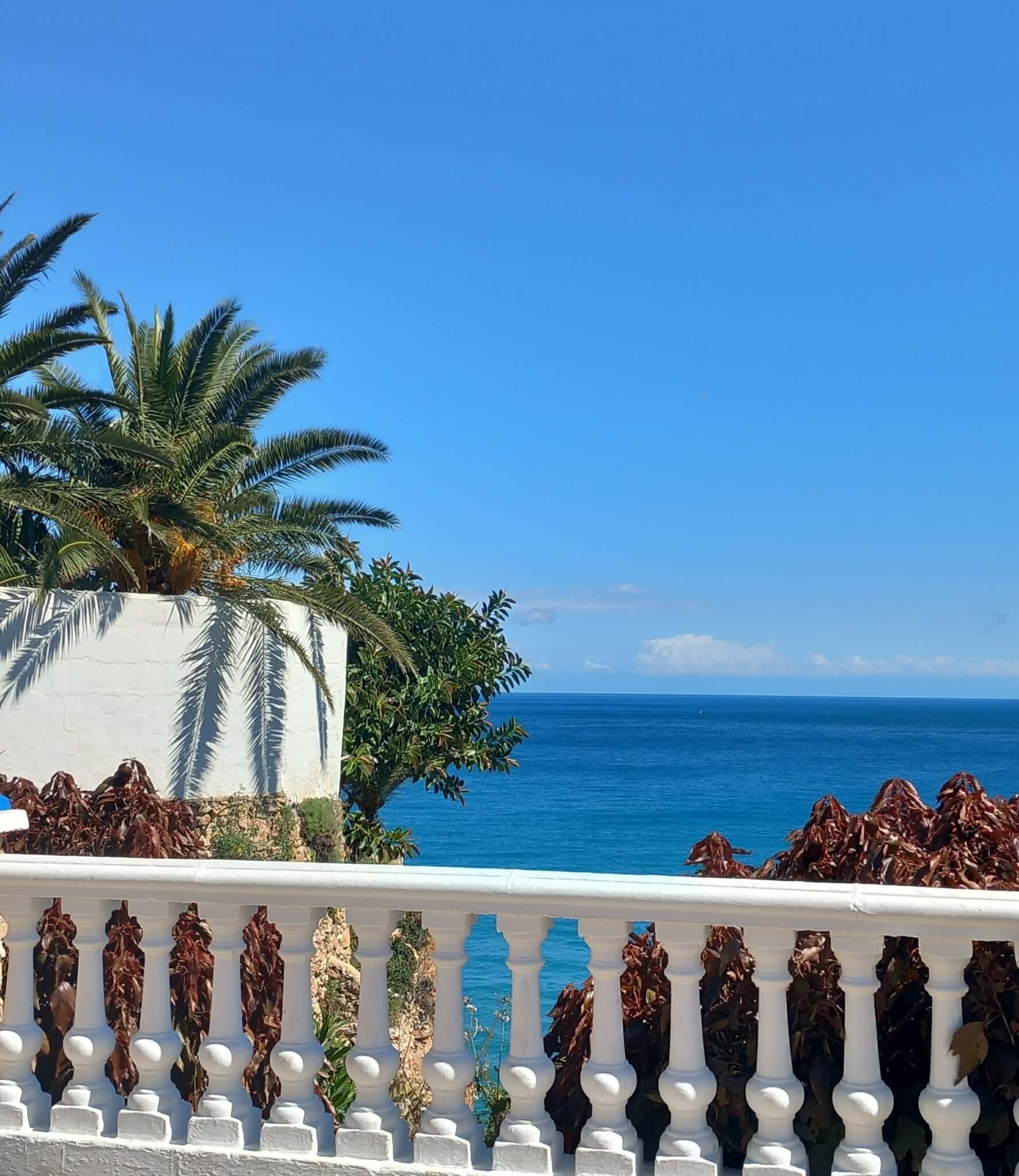 弗拉明戈别墅酒店-官方