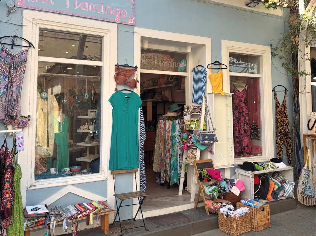 Pink Flamingo Concept Store-Myrina必去景点