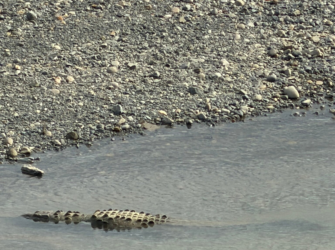 Tarcoles Bridge-Tarcoles必去景点