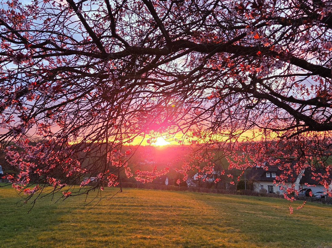 Panorama Hotel Albus主图