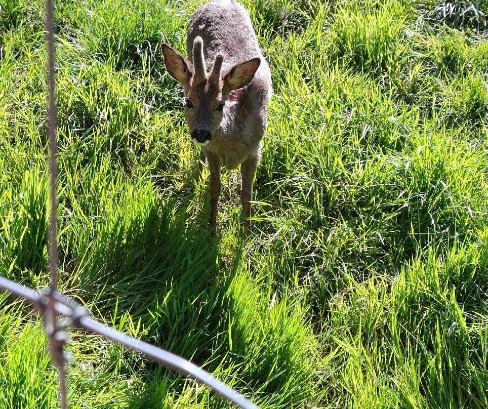 Legendia Parc-Frossay必去景点