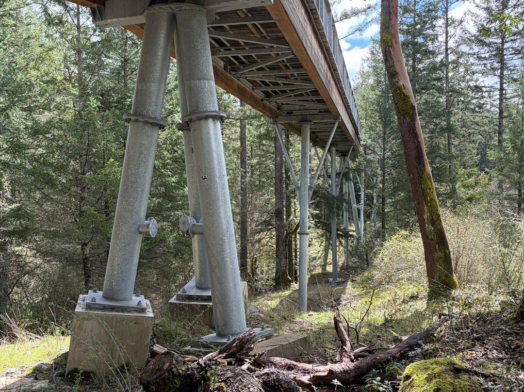 Malahat Skywalk-Malahat必去景点