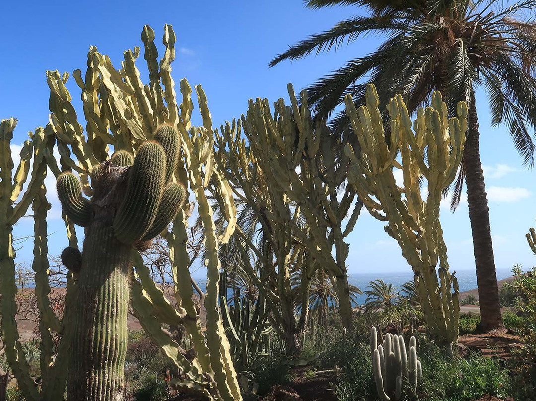 Jardin Botanico-La Lajita必去景点