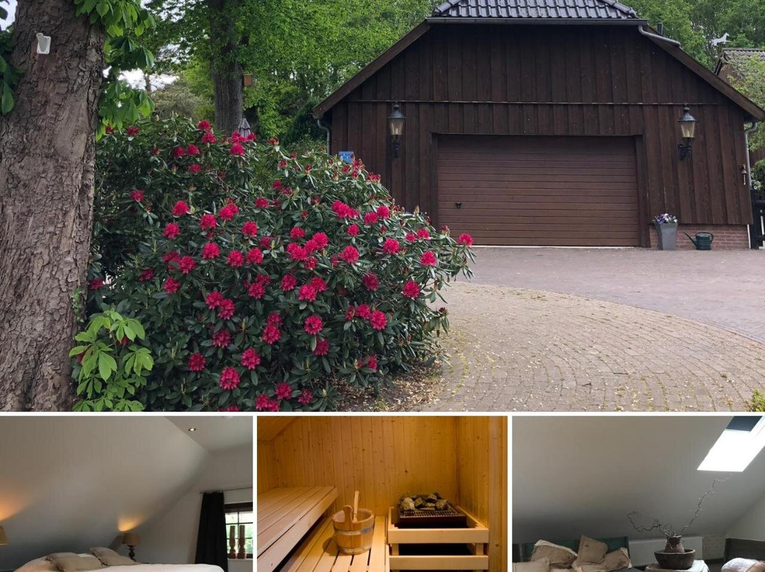 B&B de Drentse Es