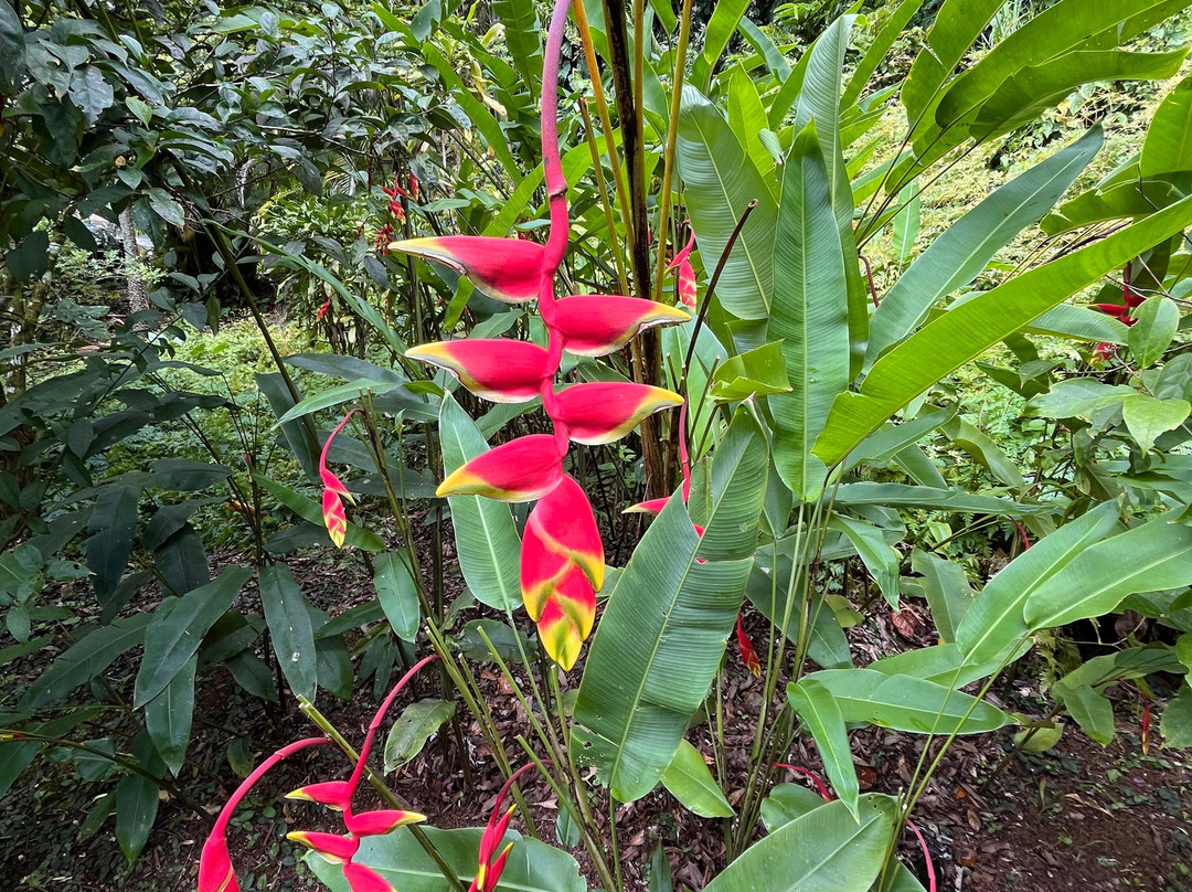 Jardin Botanique de Valombreuse-Petit-Bourg必去景点