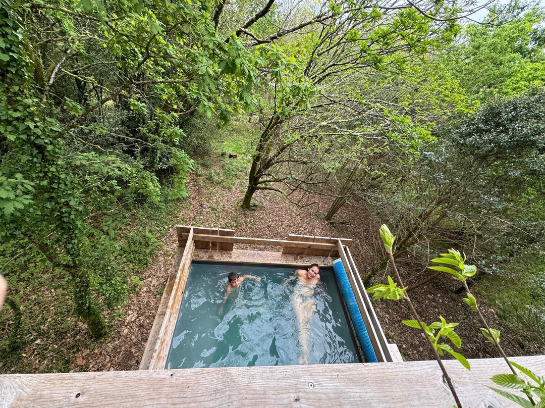 Cabañitas Del Bosque主图
