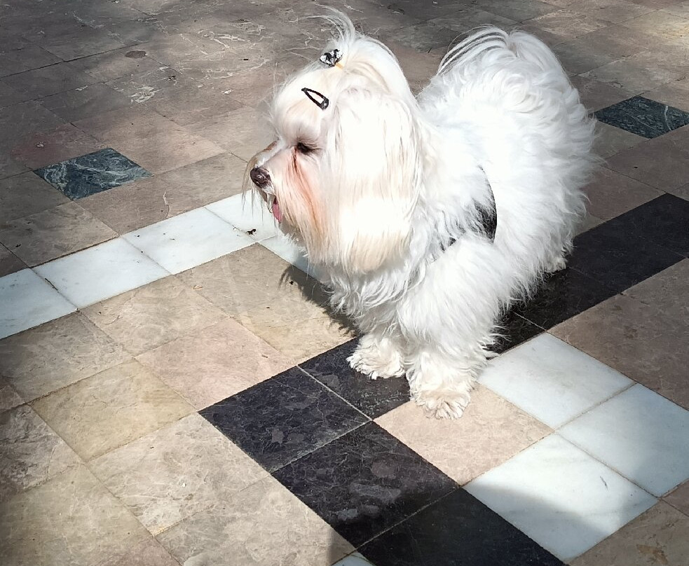 塔霍林荫散步小道-隆达必去景点