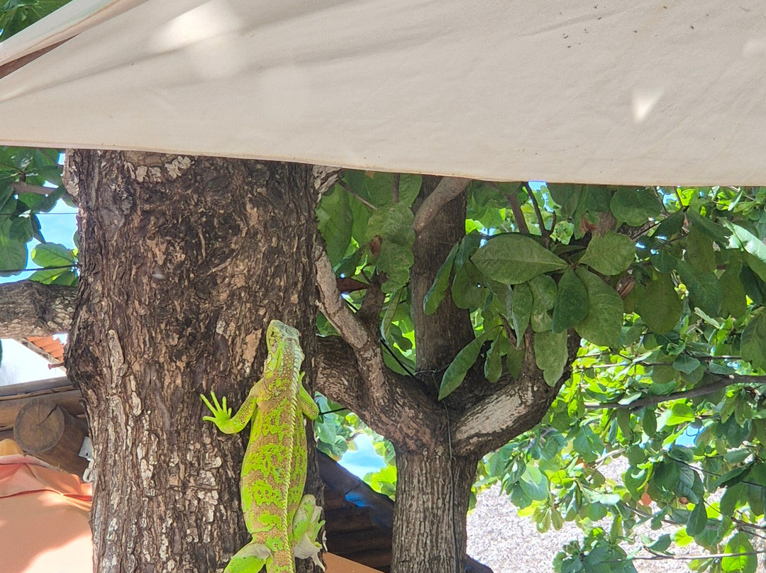 Angelo的家宾馆主图