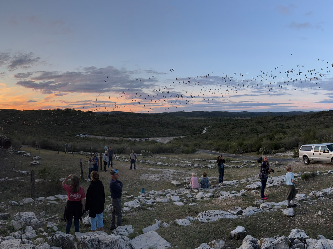 Frio Bat Flight Tours-Concan必去景点