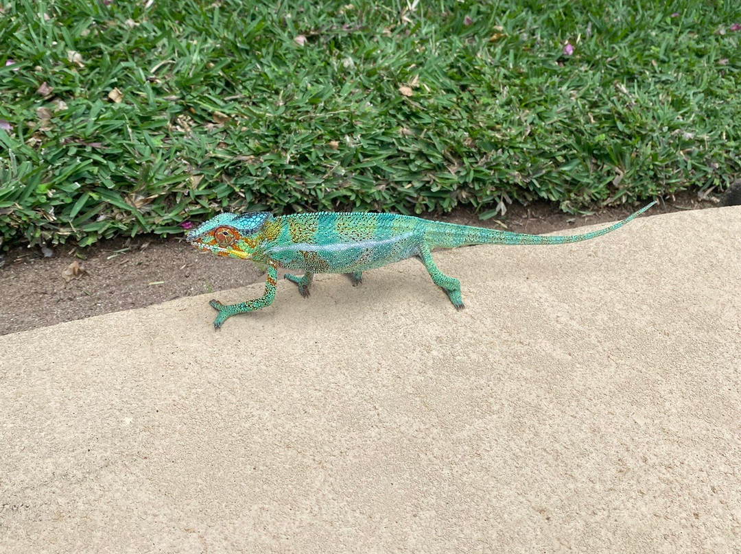 VOI Amarina Resort主图