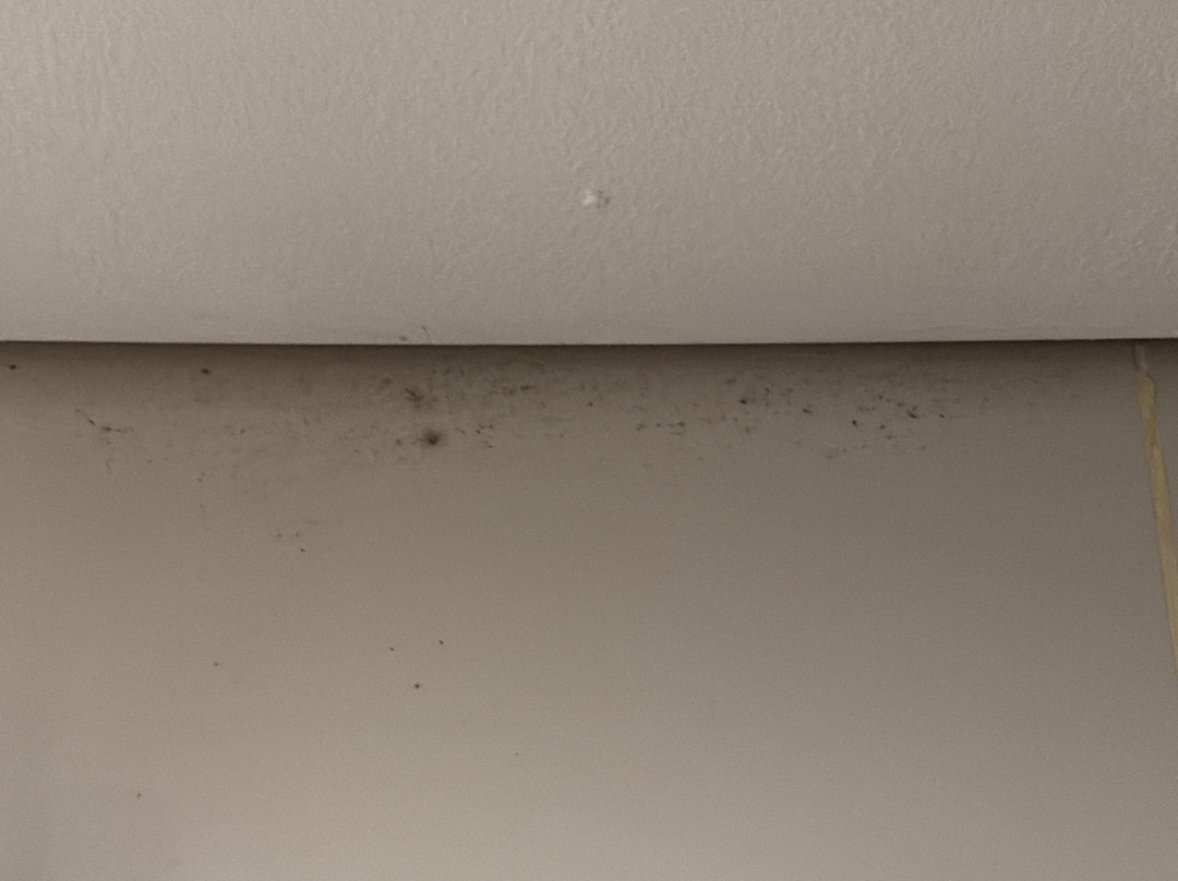 谛乐雅·卡卢特勒主图