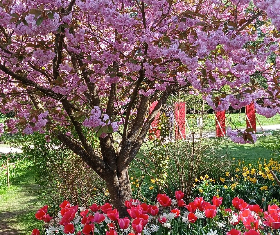 Emmetts Garden-Sevenoaks必去景点