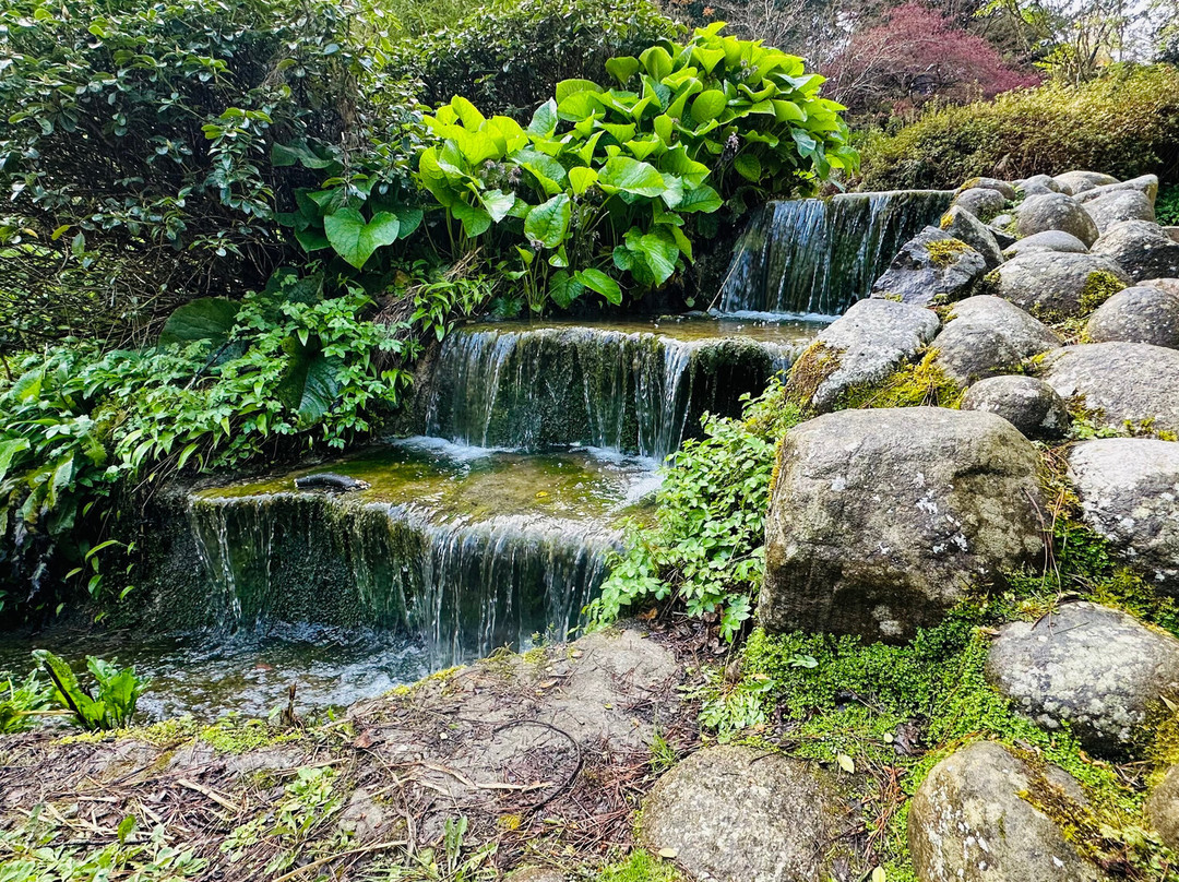 Executive Tours Ireland-利默里克必去景点