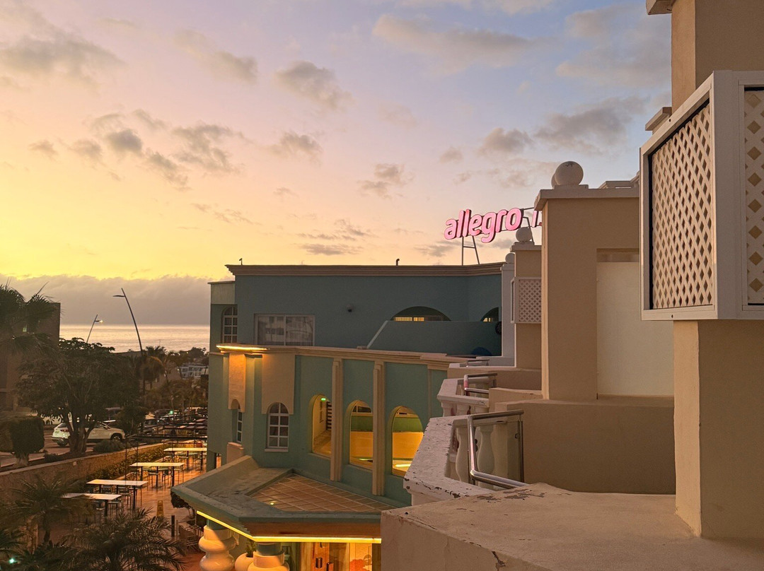 阿列佐索拉酒店主图