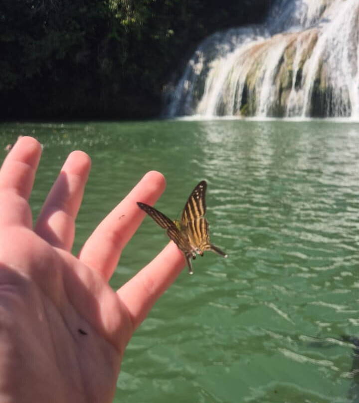Serra da Bodoquena Waterfalls-Bodoquena必去景点