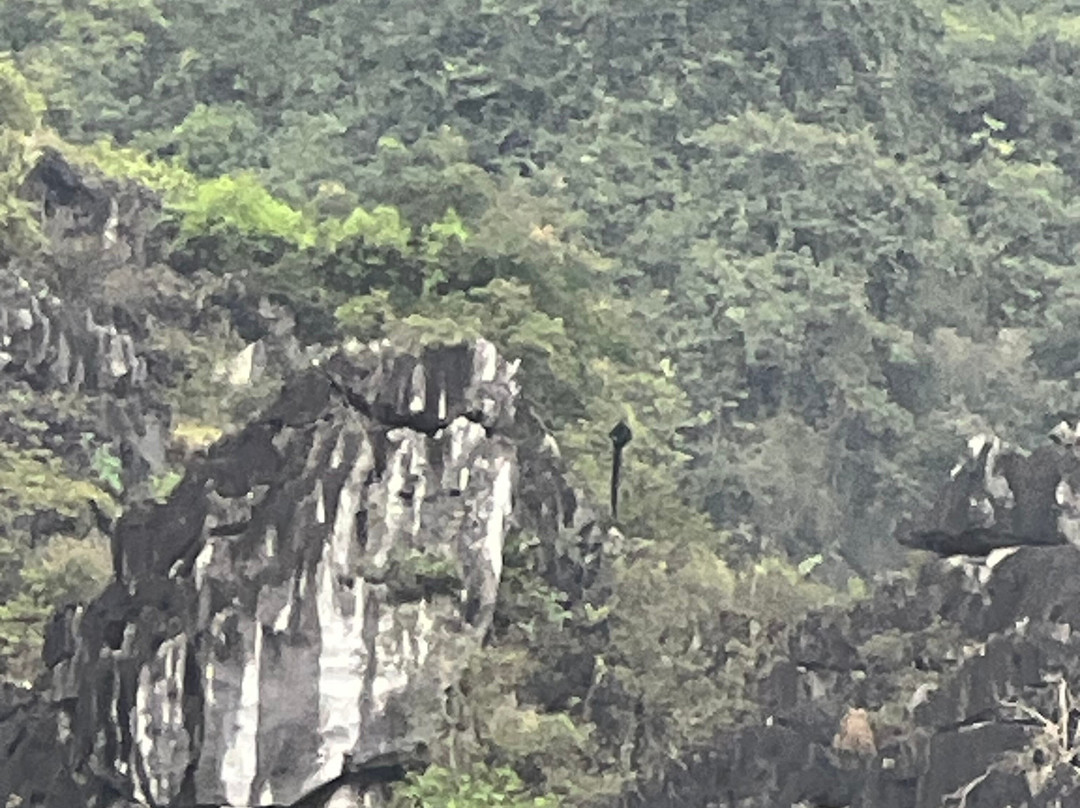 Van Long Nature Reserve-宁平必去景点