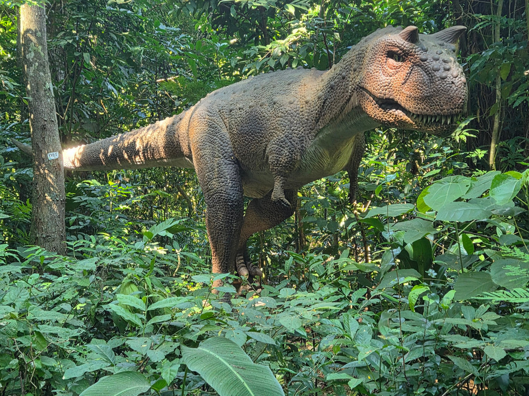 Terra Dos Dinos-Miguel Pereira必去景点