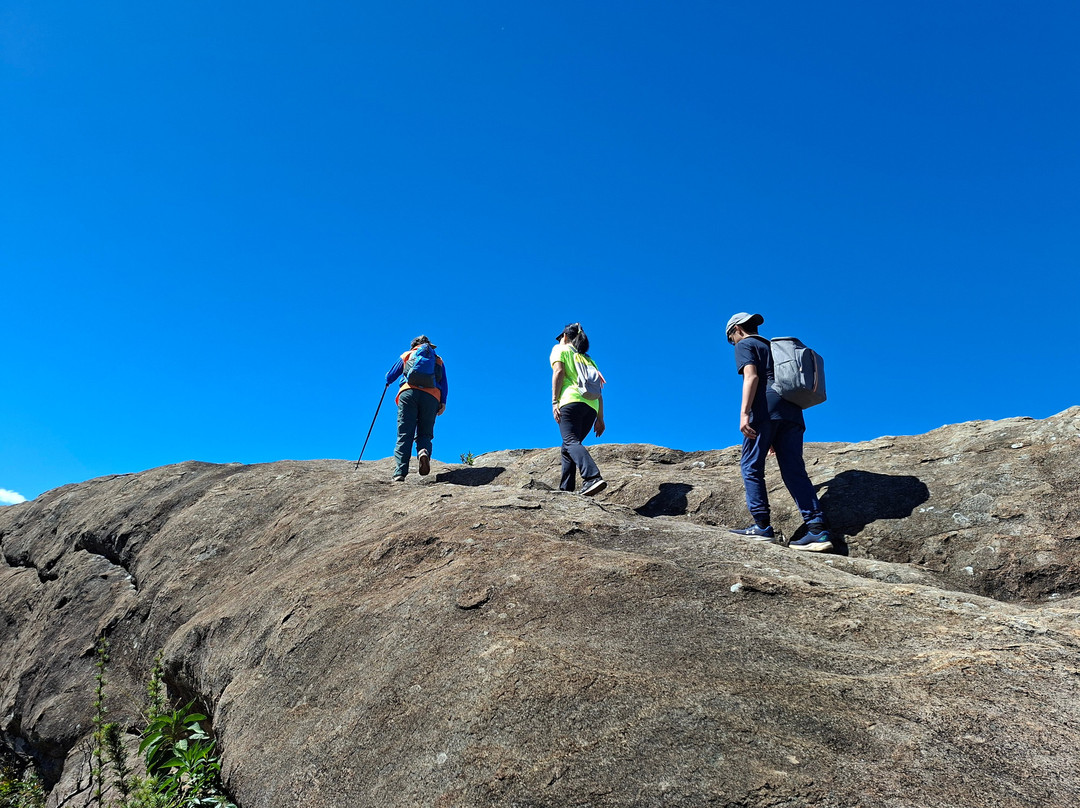Gute Passeios-Itatiaia National Park必去景点