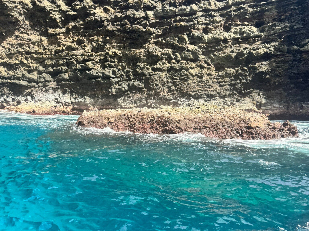 Blue Dolphin Charters-埃里埃利必去景点