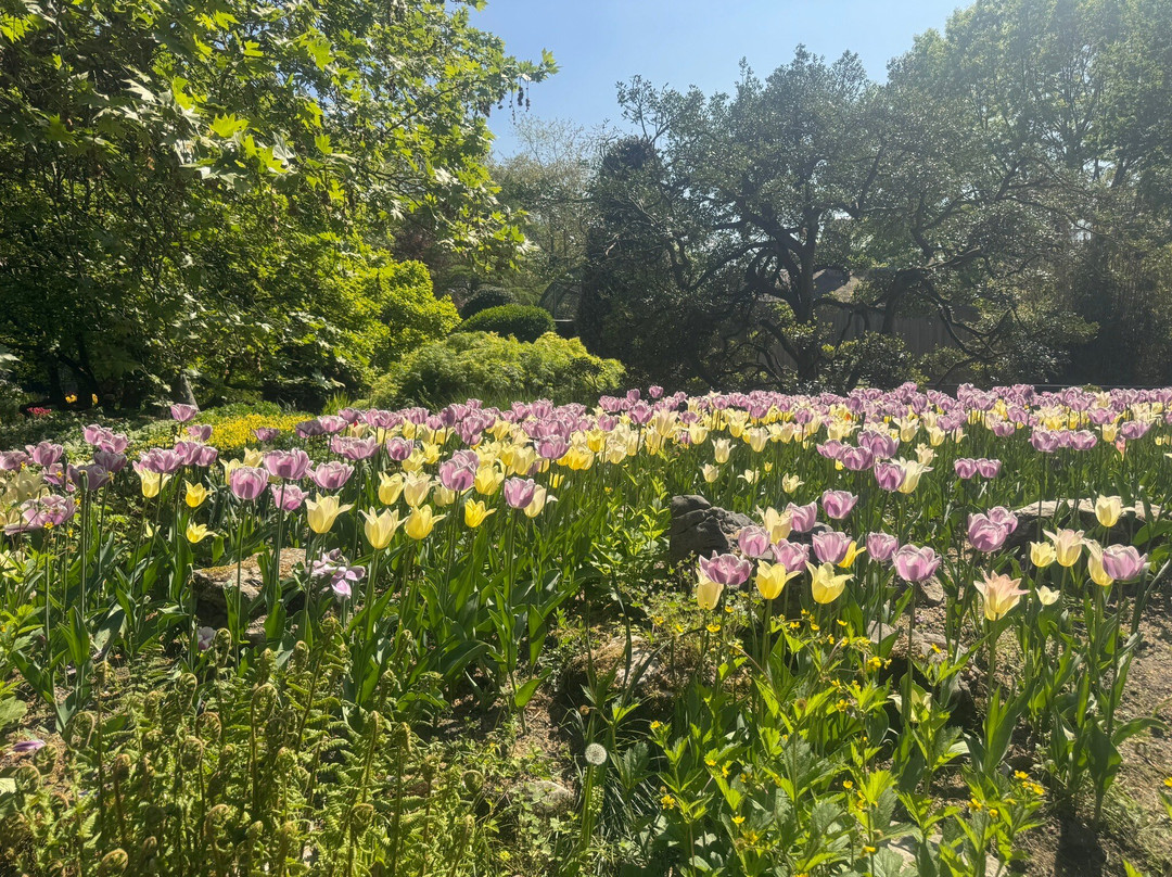 Zoo Antwerpen (dierentuin)-安特卫普必去景点
