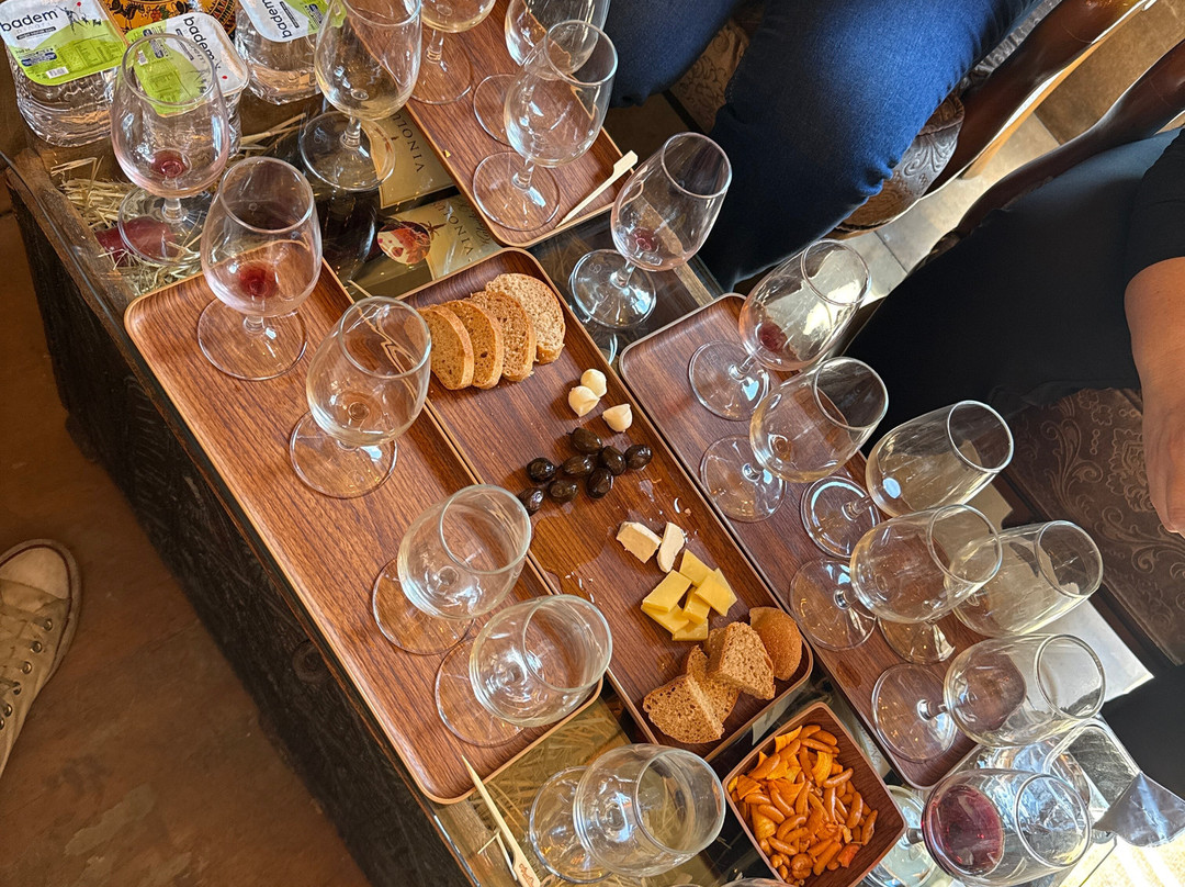 Vinodocia Wine & Art House-乌奇萨必去景点