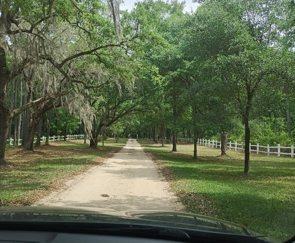 Hopsewee Plantation-乔治敦必去景点