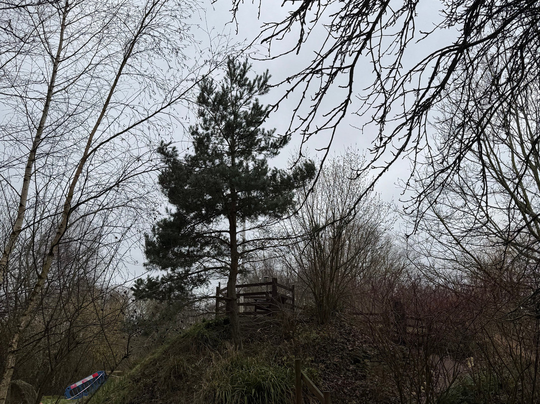 Railworld Wildlife Haven-彼得伯勒必去景点
