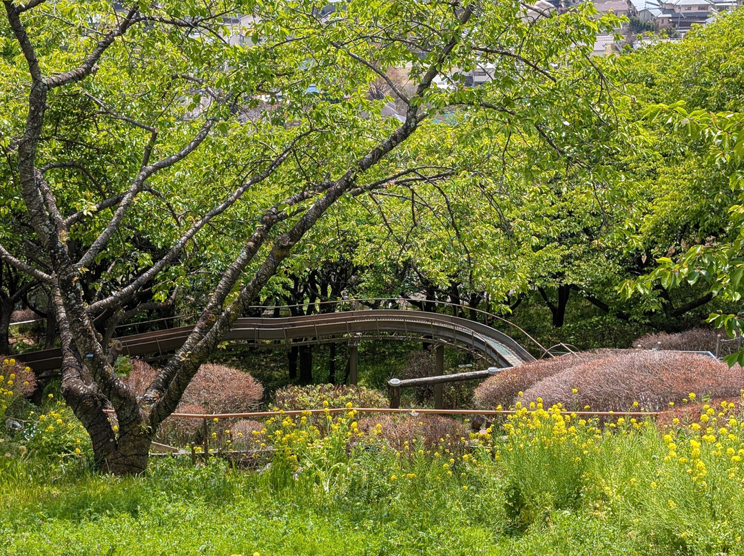 Nishihirahata Park-松田町必去景点