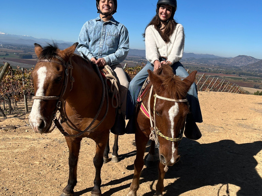 Natural Wine Tours-Palmilla必去景点